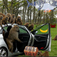 Free online html5 games - Monkey Park Escape game 