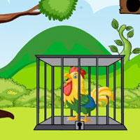 Free online html5 escape games - The Clever Rooster In Cage