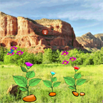 Free online html5 games - Desert Forest Escape game 