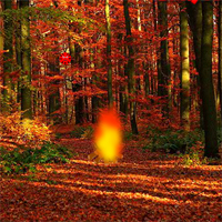 Free online html5 games - Lady Bug Escape game 