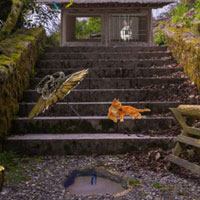 Free online html5 games - FEG Abandoned Mystery Town Escape game 