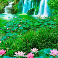 Free online html5 games - Nature Forest Way Escape HTML5 game 