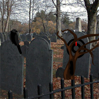 Free online html5 games - South Wild Forest Escape game 
