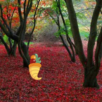 Free online html5 games - Thanksgiving Red Autumn Forest Escape game 