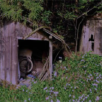 Free online html5 games - Escape From Abandoned Forest Village game 