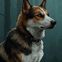 Free online html5 games - G4K Rocky Dog Rescue game 
