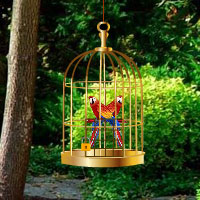 Free online html5 games - Exotic Bird Rescue game 