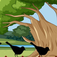 Free online html5 escape games - Platypus Cage Escape