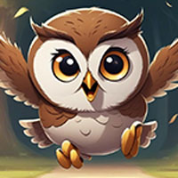 Champion Owl Escape Game