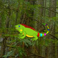 Free online html5 games - Amazing Redwood Forest Escape Games2rule game 