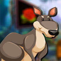 Free online html5 games - Avm Cute Kangaroo Escape game 