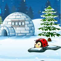 Free online html5 games - Games2Jolly Snowboy Escape game - WowEscape 