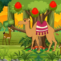Free online html5 escape games - BIG Stucked Camel Reach Desert