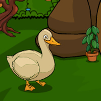 Free online html5 games - Games2Jolly Cute Duck Escape game 