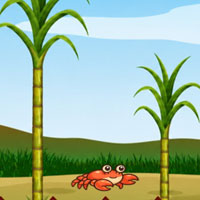 Free online html5 escape games - Sparkle Caterpillar Rescue