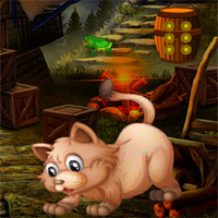 Free online html5 games - Avm Escape Angry Cat game 