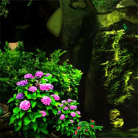 Free online html5 games - Top10newgames Abandon Forest Escape game 
