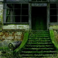 Free online html5 games - Avm Hunted Eagle Escape game 