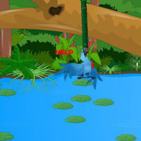 Free online html5 games -  G2R Save The Troubled Macaw game 