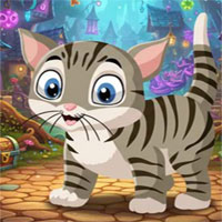 Free online html5 escape games - Charming Cat Escape