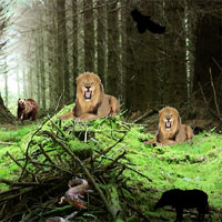Free online html5 games - Wild Animal Escape game 