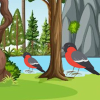 G2M Crossbill Escape