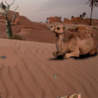 Free online html5 games - 5nGames Can You Escape Desert House 3 game 