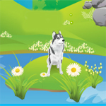 Free online html5 games - Husky Escape game 