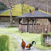Free online html5 games - Livestock Farm Escape game 