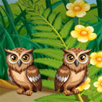 Free online html5 escape games - G2M Woodland Owl Escape