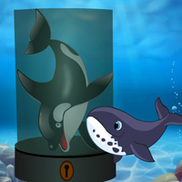 Free online html5 escape games - Rescue The Whale