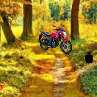Free online html5 games - Green Forest Fun Escape game - WowEscape 