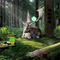 Free online html5 games - Games2Jolly Pine Forest Escape game 