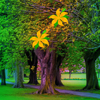 Free online html5 games - Games2rule Homey Forest Escape game 