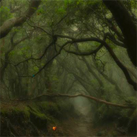 Free online html5 games - Occult Forest Escape game 