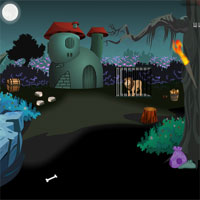Free online html5 games - Wild Lion Escape game 