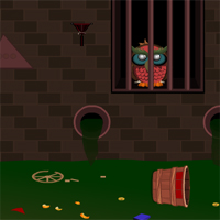 Free online html5 games - Drainage Owl Escape game 