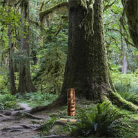 Free online html5 games - SD Amazon Jungle Escape game 
