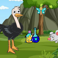 Free online html5 games - Finds The Ostrich Eggs game 