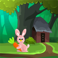 Free online html5 games - Games2Mad Escape from Mountain Village game 