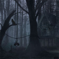 Free online html5 games - Night Forest Owl Escape game 