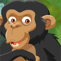 Free online html5 games - Chimpanzees Escape game 