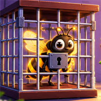Save the Trapped Black Bee