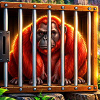 Free online html5 games - Escape of the Caged Red Orangutan game 