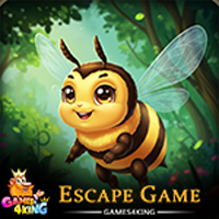 Free online html5 games - The Great Drone Escape Game game 