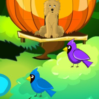 Free online html5 games - G2M Blossom garden escape game 