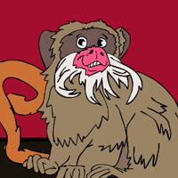 Free online html5 games - G2J Emperor Tamarin Escape game 
