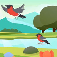 Free online html5 escape games - G2M Cluck and Unlock
