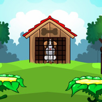 Free online html5 games - G2L Street Pup Rescue game 