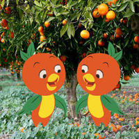 Free online html5 games - Twin Orange Birds Escape HTML5 game 